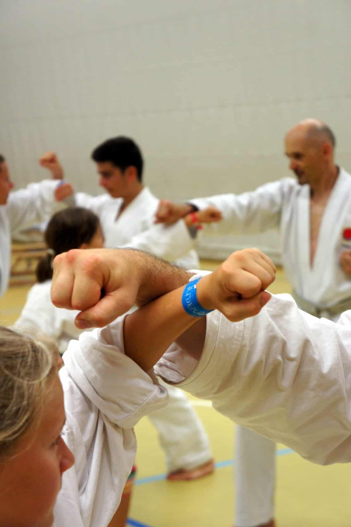 Karatekai Basel - Karate beginnt & endet mit Respekt