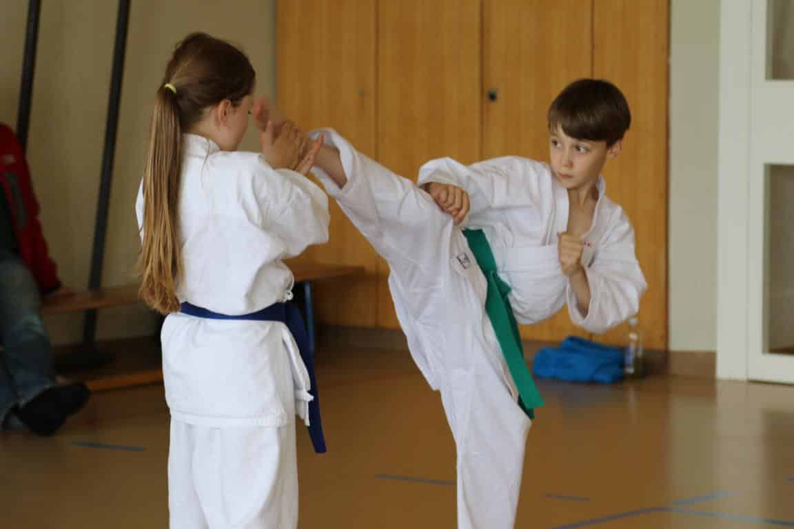 Karatekai Basel - SKR Zentraltraining für Kinder in Lenzburg 2016