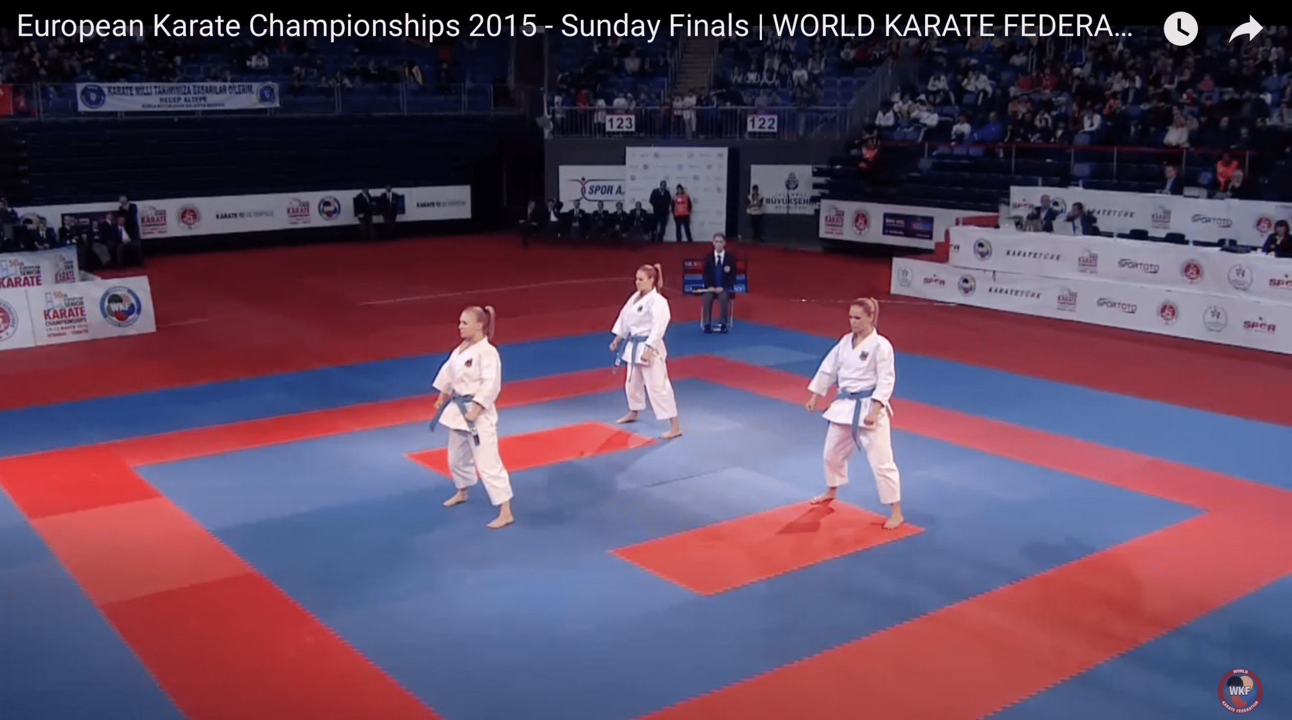 Karatekai Basel - Euro Karate Championships 2015