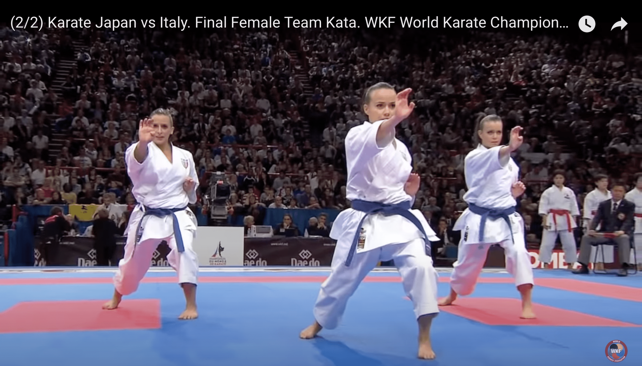 Karatekai Basel - Kata – verschlüsselte Kampfkunst