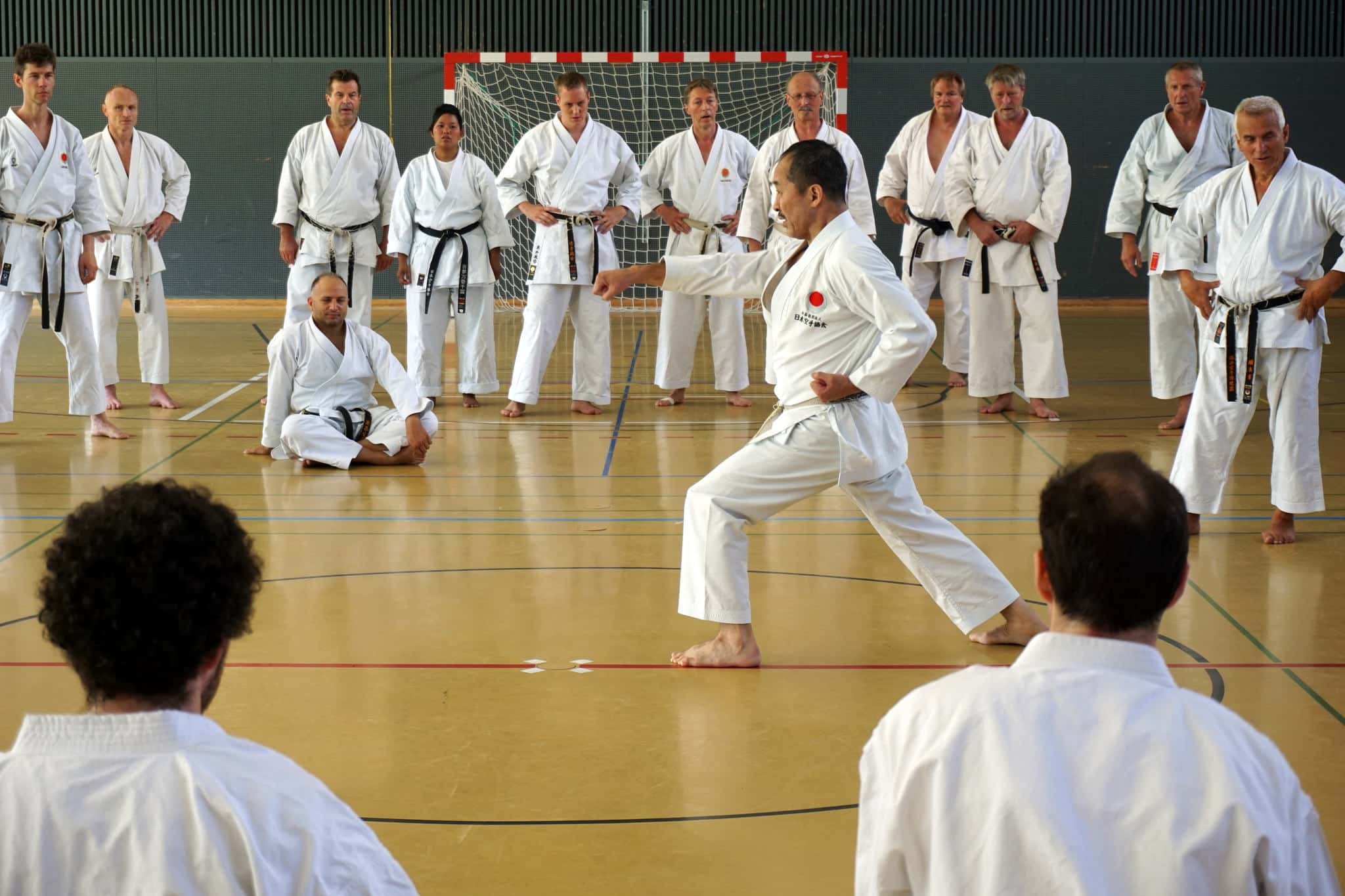 Karatekai Basel - Bilder vom Gasshuku Bern 2015 online
