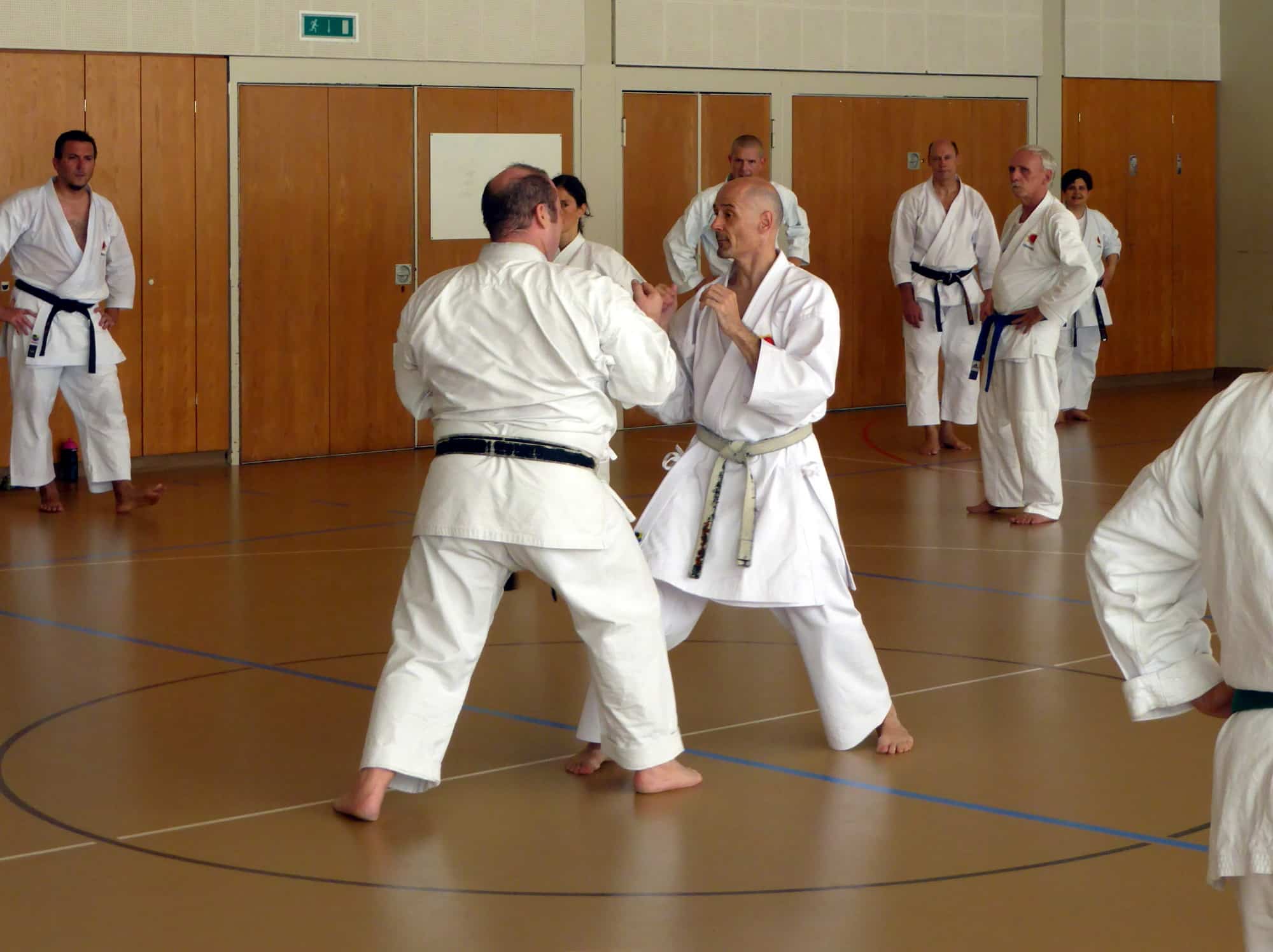 Karatekai Basel - Grillfest Karatekai Lenzburg 2015