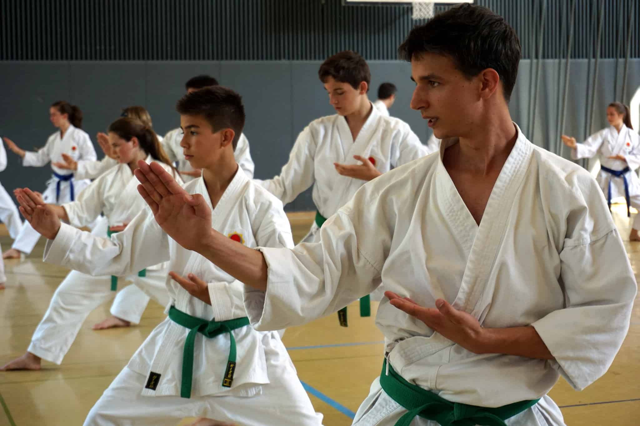 Karatekai Basel - Reise ins Gasshuku 2015 in Bern