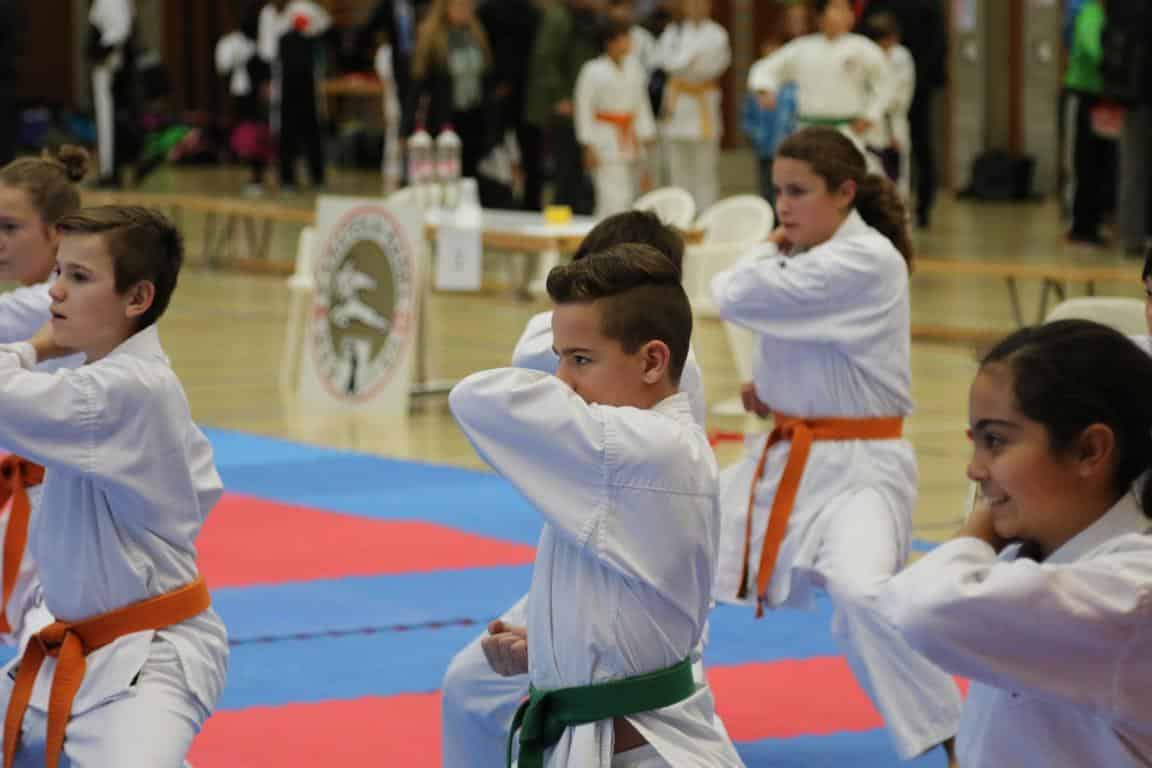 Karatekai Basel - Erfolgreiche Kids am SKR Herbstturnier 2015 in Reinach