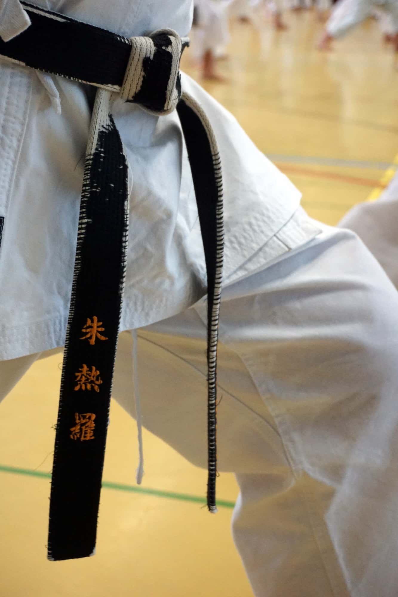 Karatekai Basel - Trainingsbeginn voraussichtlich am 8. Juni 2020