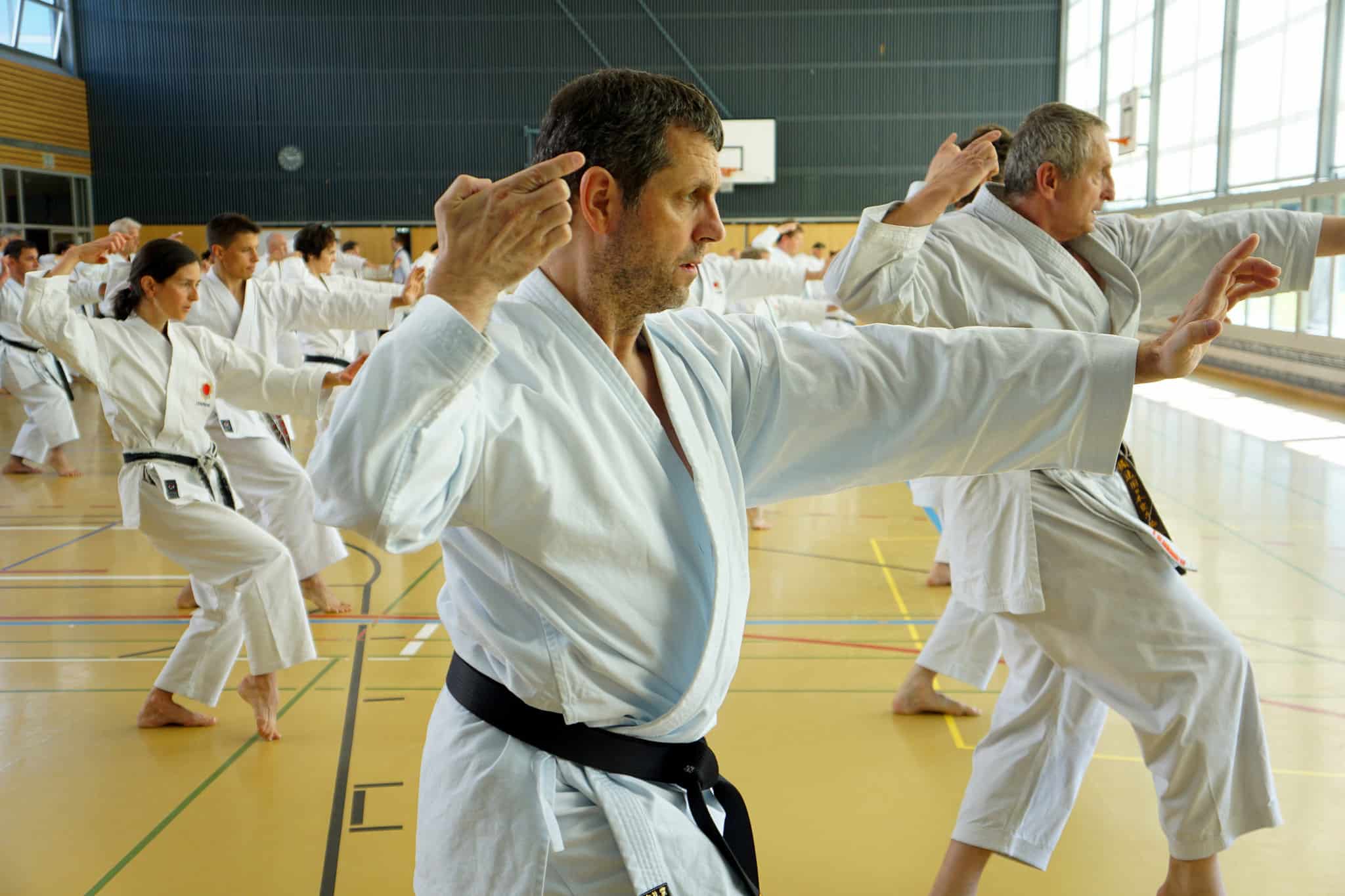 Karatekai Basel - Bilder Gasshuku Bern 2016