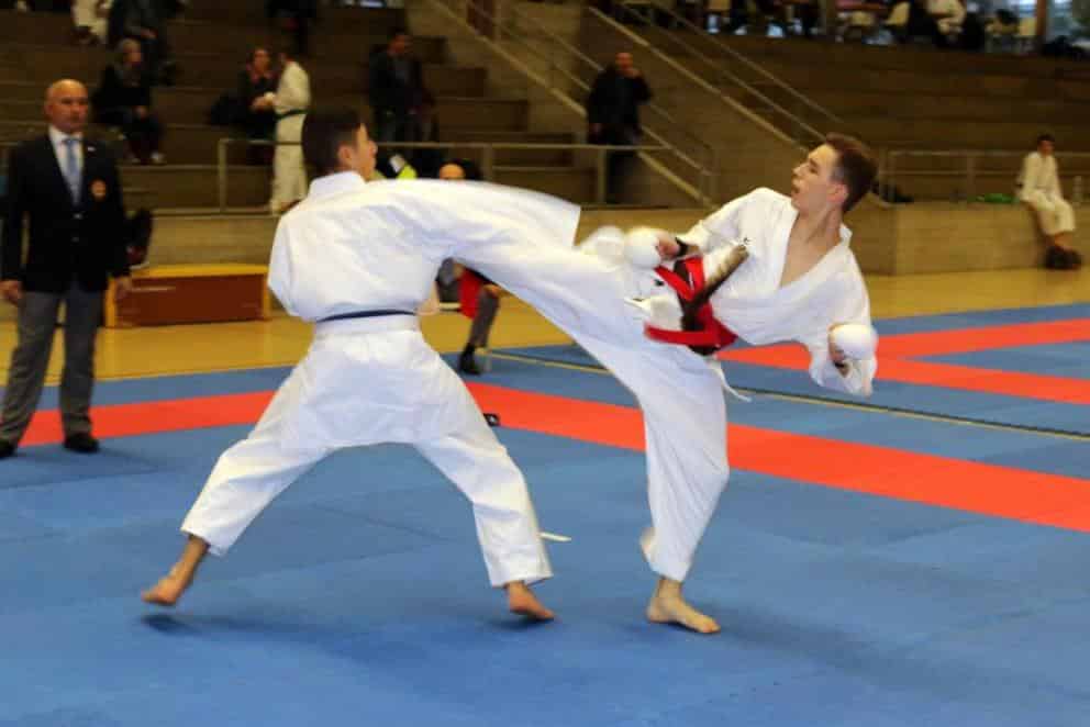 Karatekai Basel - Erfolge am SKR Ippon-Shobu Cup 2016 in Reinach