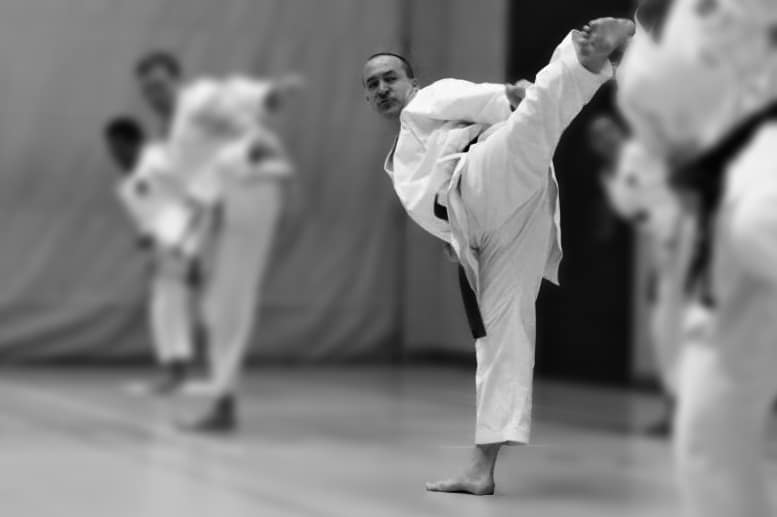 Karatekai Basel - 14. SKR Katalehrgang