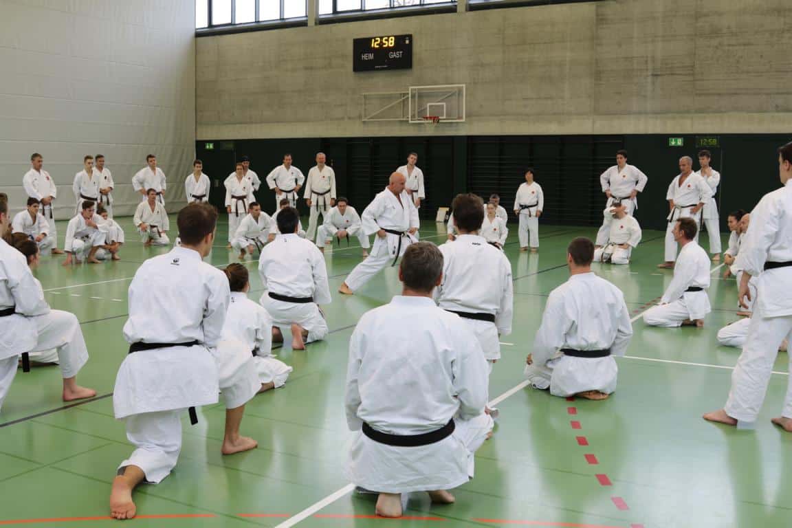 Karatekai Basel - SKR Landestraining in Lenzburg 1./2. 12. 2018