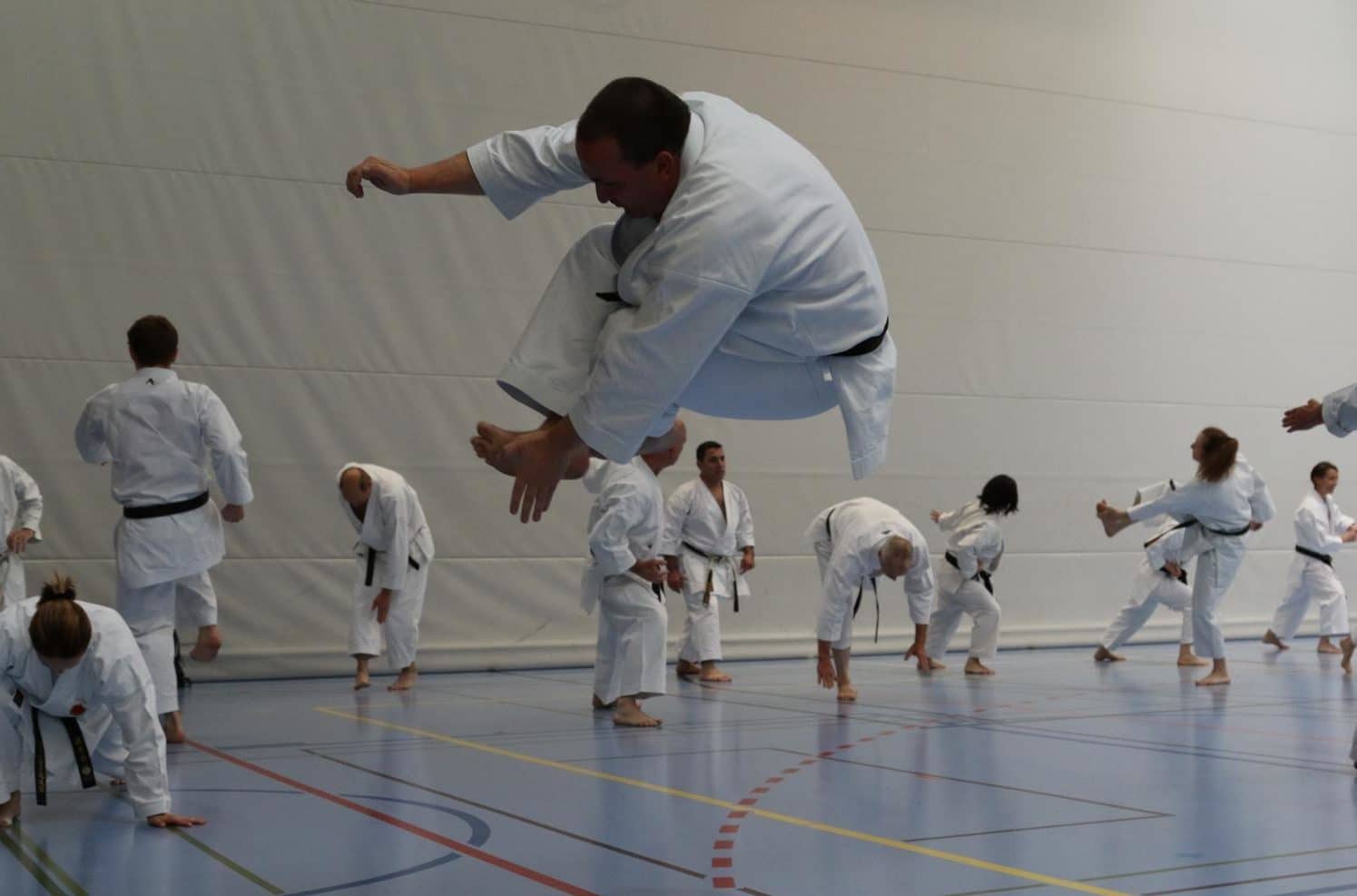 Karatekai Basel - 15. SKR Katalehrgang