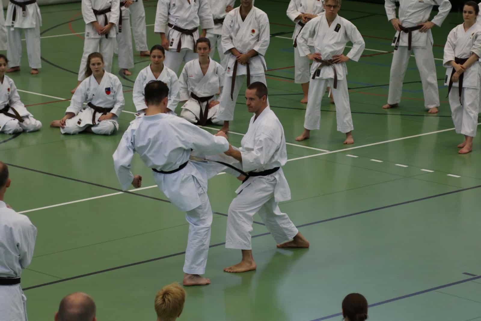 Karatekai Basel - SKR Landestraining in Lenzburg 7./8. 12. 2019