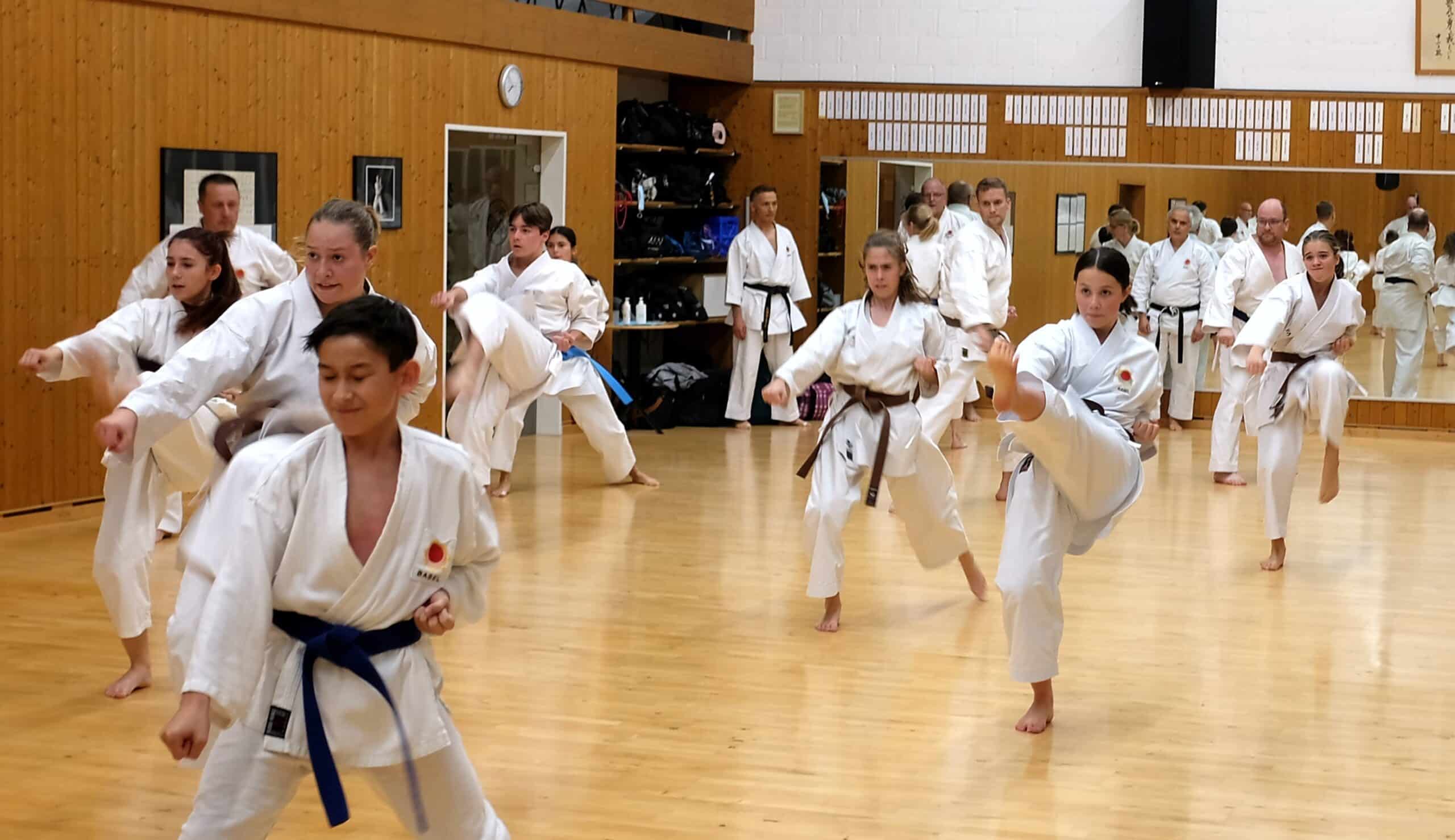 Karatekai Basel - Massnahmen im Sport aufgehoben