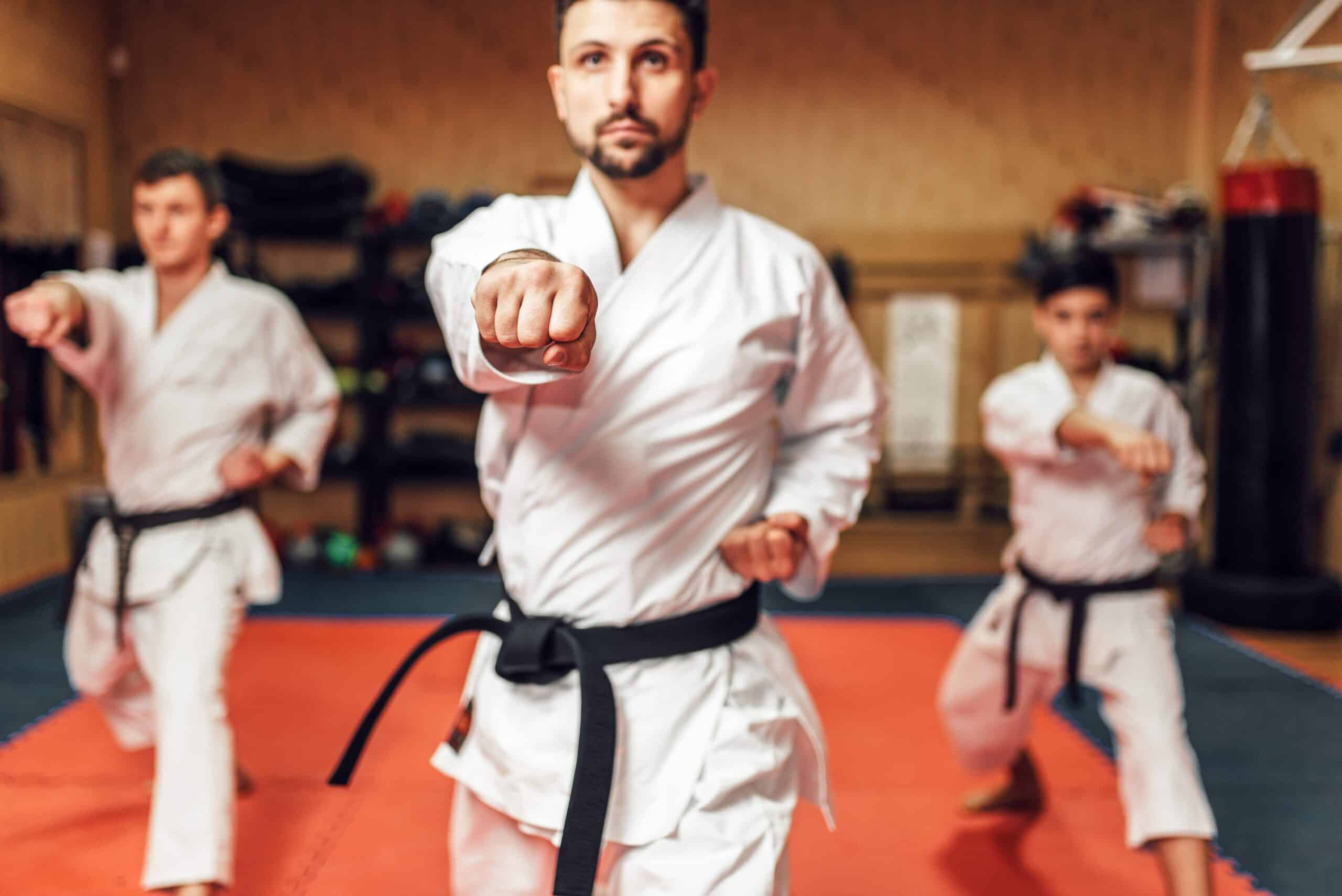 Karatekai Basel - Trainingsplan & Kalender