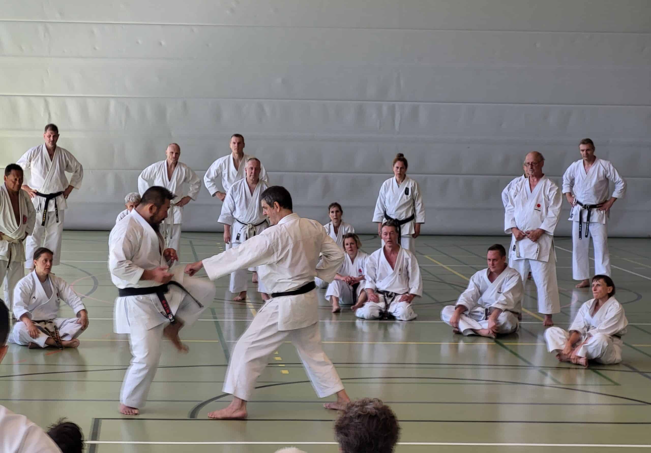 Karatekai Basel - Gasshuku 2023